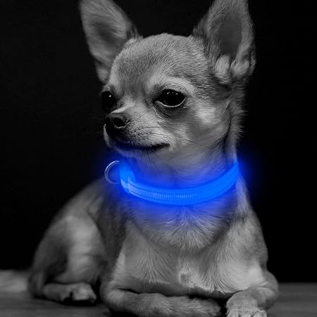 glow collar