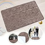 Indoor Doormat Front Door Mat Non Slip Rubber Backing Super Absorbent Mud and Snow Magic Inside Dirts Trapper Mats Entrance Door Rug Shoes Scraper Machine Washable Rug Carpet - Coffee, 20"x 31.5"
