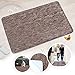 Indoor Doormat Front Door Mat Non Slip Rubber Backing Super Absorbent Mud and Snow Magic Inside Dirts Trapper Mats Entrance Door Rug Shoes Scraper Machine Washable Rug Carpet - Coffee, 20"x 31.5" primary