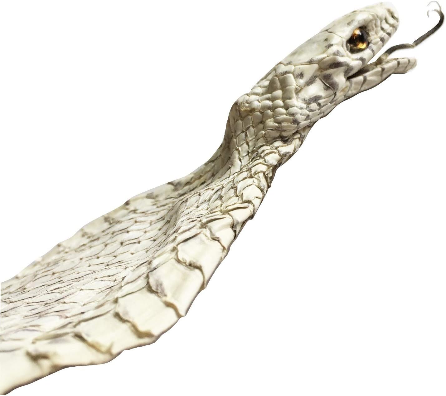 Asia Spitting Elaphe Snake Skin Open Month with Eyes