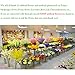 XIAOHESHOP XHSP 2pcs Artificial Green Ivy Vine Potato Leaves Garland Plants Vine Fake Foliage Home Decor,35