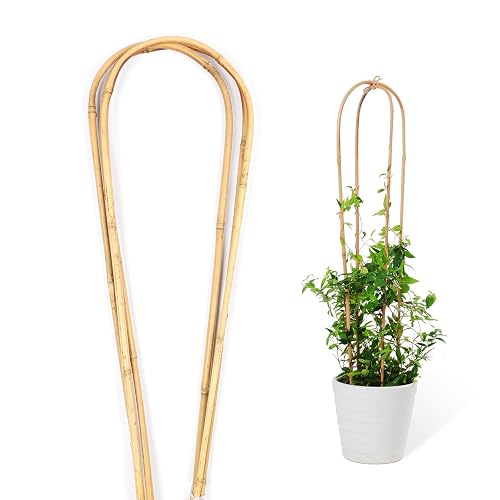 Natural Bamboo Trellis for Climbing Plants Indoor Outdoor, 3 Feet ...
