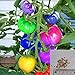BigFamily 100pcs very rare imported rainbow tomato Seeds bonsai fruit & vegetable seeds Non-GMO Potted plants for home garden