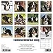 Bernese Mountain Dog 2017 Wall Calendar