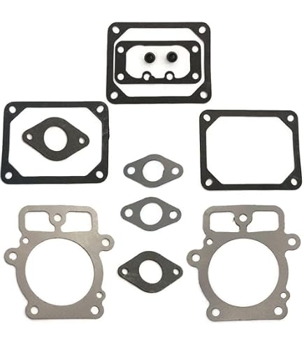 Aazon.co: JYCJCF 799586 Cylinder Head Gasket Copatible With Briggs