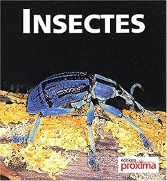Insectes