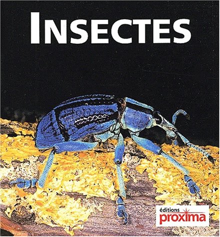 Insectes