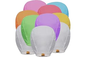 NULUPHU 10 Pcs Chinese Lanterns [an Unforgettable Memory] Decoration Lanterns for Family Friends Perfect Moment Hanging Ornaments(Multicolored)