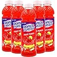 Tropical Fantasy Fruit Punch Premium Juice Cocktail, 22.5 Oz (Pack of 5)