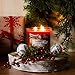 DII Z01477 3-Wick Evenly Burning Highly Scented Jar Candle Spiced Cider