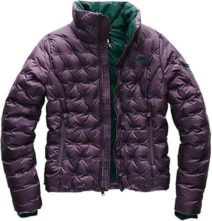 veste the north face courte