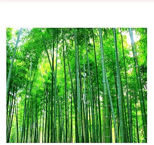 Xbwy 壁画緑の竹の風景壁紙リビングルームベッドルームテレビ壁画装飾自然風景壁紙 400x280cm B09f519s 11 266円