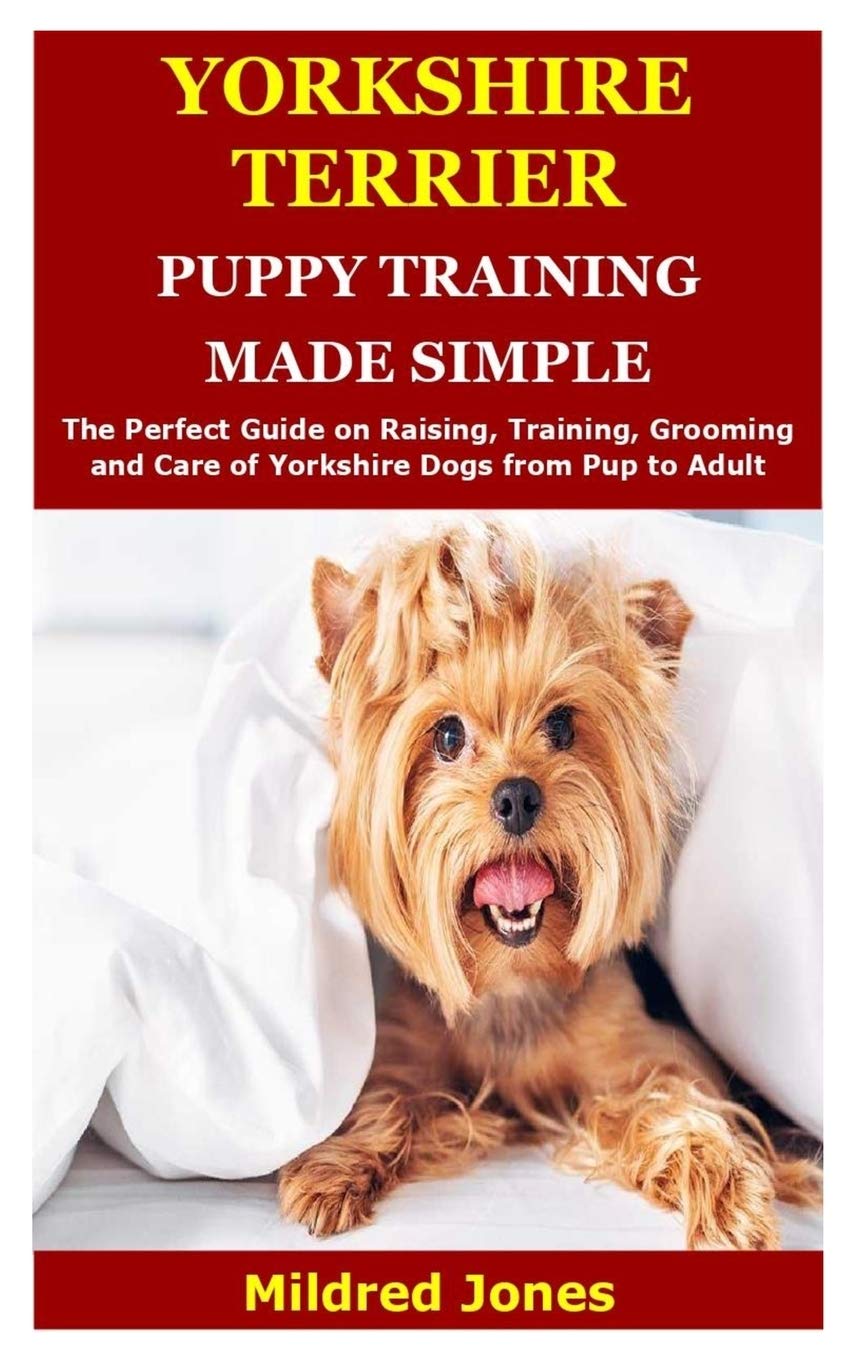 yorkshire terrier puppy training