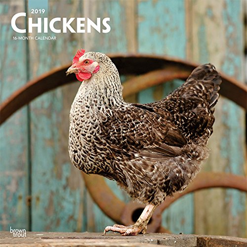 Chickens 2019 12 x 12 Inch Monthly Square Wall Calendar, Domestic Farm Animals (Multilingual Edition by Inc. BrownTrout Publishers