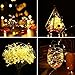 Brizled Wine Bottle Lights with Cork, 20 LED Starry String Lights, 8 Pack Battery Operated Lights for Party, Wedding, Outdoor and Indoor Decorations, Warm White