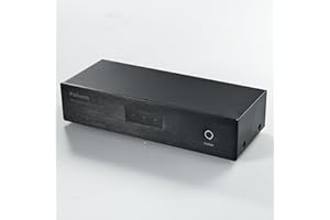 Pailvens AC Power Filter Power Conditioner with LED Display, 8 Ways Power Socket, Line Conditioner Power Purifier, Power Conditioner Audio Suitable for HiFi CD Player, TV, S20B