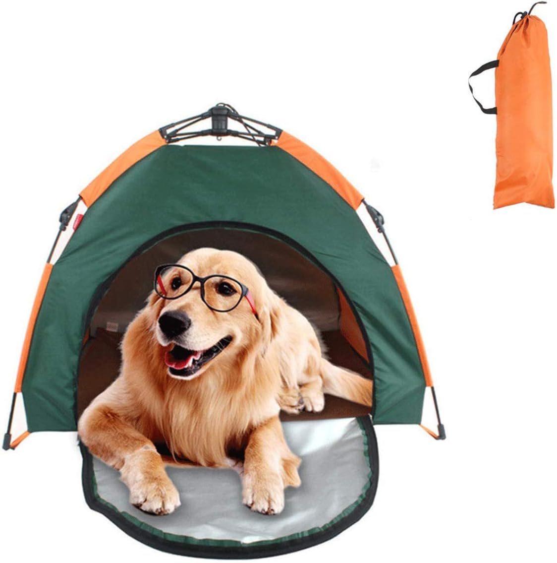 my dog itches and bites himself