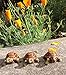 Animated Poly Resin Small Turtle Shaped Pot Feet/planter Risers Set of 3