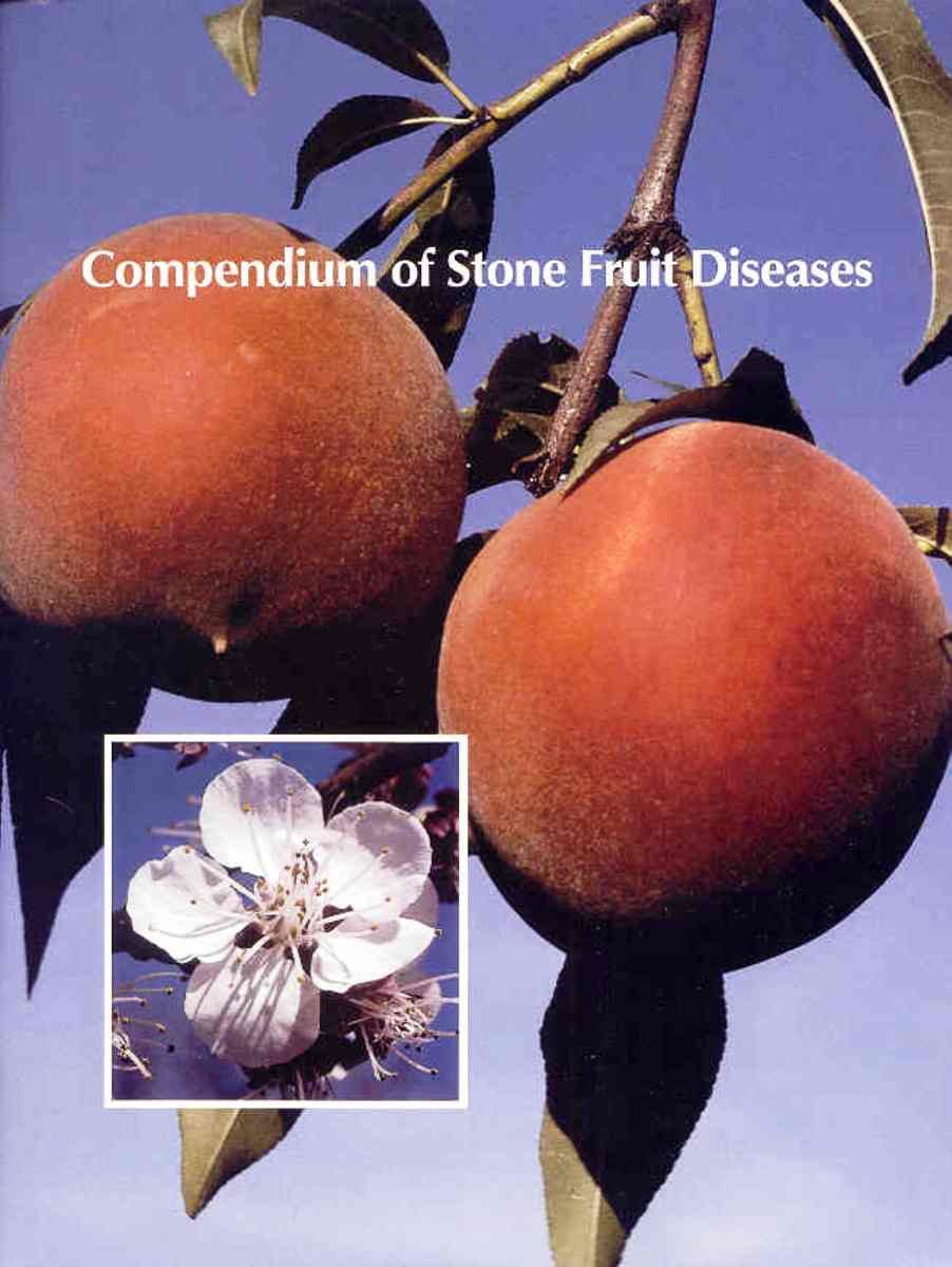 Amazon Compendium Of Stone Fruit Diseases Disease Compendium Series Ogawa Joseph M Zehr E I Bird G W American Phytopathological Society Biological Sciences