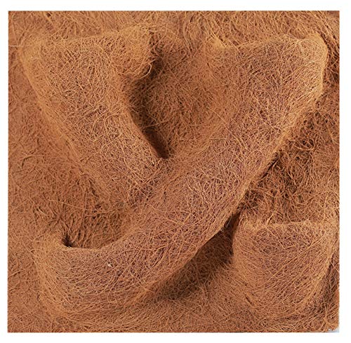TropicShop Back wall made of natural coconut/coconut fibre back wall - coconut fibre terrarium back wall with plant bag (30 x 30 cm).