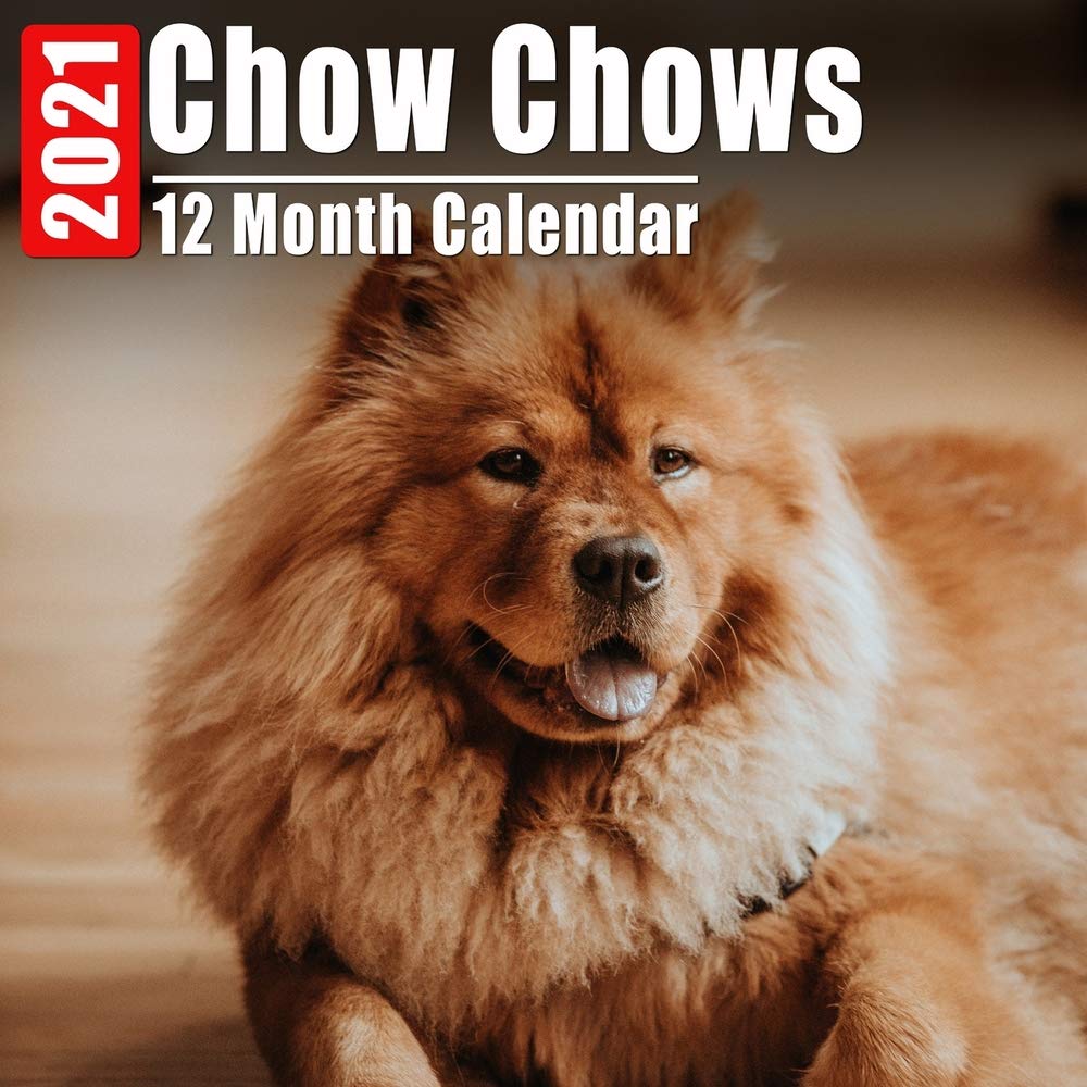 cute chow chows