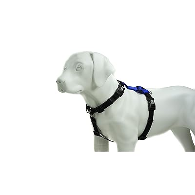 balance harness amazon