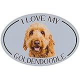 Crazy Sticker GuyOval Dog Breed Picture Car Magnet - I Love My Goldendoodle (Golden Doodle)