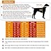 Koneseve Dog Shirt, Pet Plaid Clothes Shirt T-Shirt, Sweater Bottoming Shirt for Small Dog Cat Puppy Grid Adorable Wearing Stylish Cozy Halloween,Christmas Costumes (Red;XS/Extra Small)