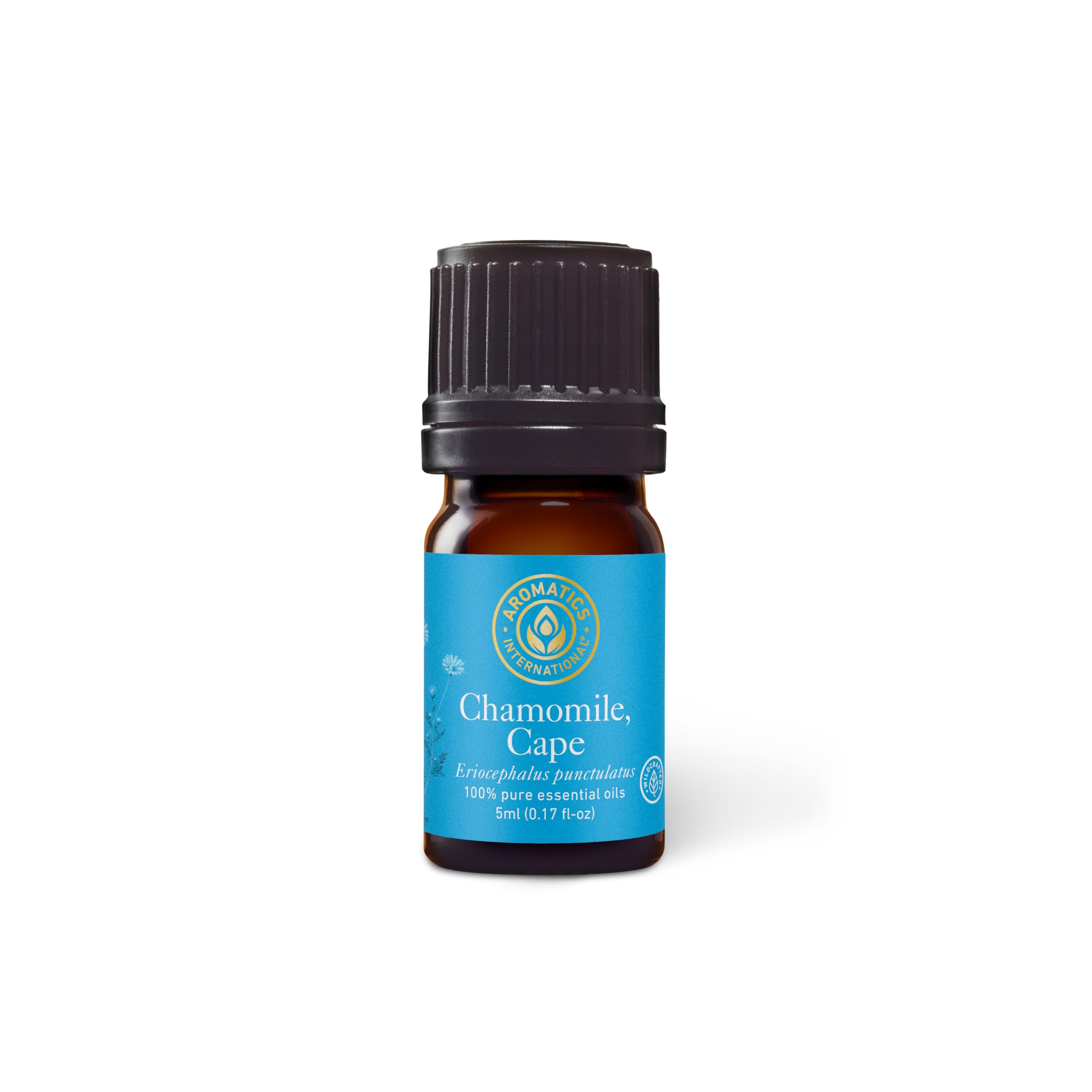 Aromatics International Chamomile Cape Essential