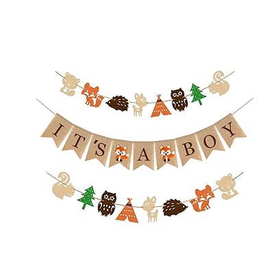 Woodland Themed Baby Shower Party Supplies and Ghana Ubuy