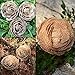 CCINEE Natural Burlap Flowers Assorted Handmade Burlap Rose for Wedding Decoration and Floral Crafts Making, Pack of 18