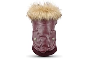 LESYPET Warm Dog Jacket Winter Dog Coats Windproof Waterproof Fleece Lined Dog Leather Jackets for Small Dogs Puppy, Red Medium