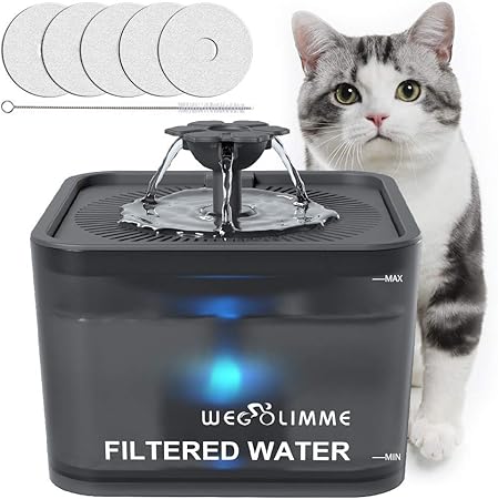 amazon cat fountain filters