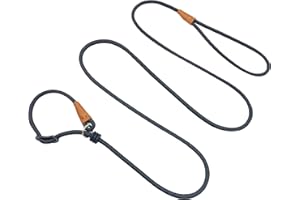 Boswany 6ft Small Dog Training Leash, 1/4-In Lightweight Slip Lead Dog Leash, No-Pull Cute Leashes for Small Dogs Puppy Pets