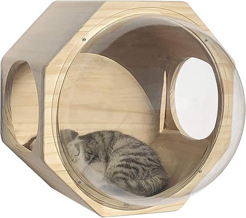 floating cat bed