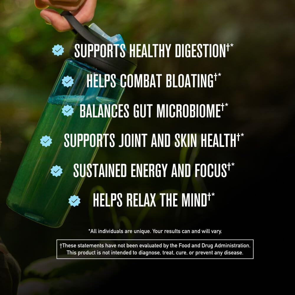ROUNDHOUSE PROVISION Morning Kick, Zero Sugar Greens Superfood Powder Supplement with Ashwaganda, Collagen, Probiotics, Debloat Drink, 30 Servings (Strawberry Lemonade) by Chuck Norris
