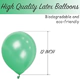 SHATCHI Green Balloons 10 Pack 12 Inch Thick Latex Biodegradable view 3