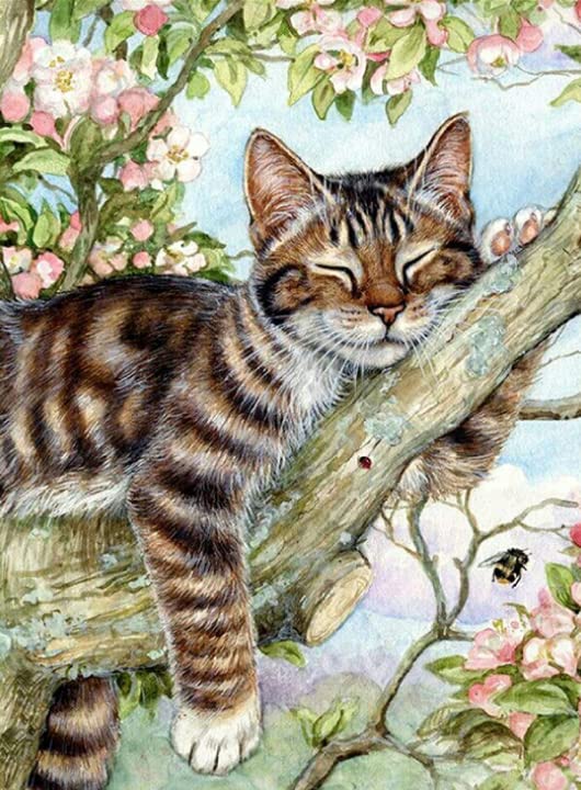 Mapoor Diamond Painting Cat- Full Drill Diamond Art,5d Diamond Painting Kits, Round Rhinestone, Diamond dots- Fun for Adults & Children, Craftwork for Indoor Décor 12x16inch