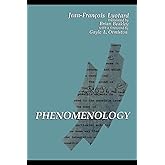 Phenomenology (Contemporary Contin Philosophy)