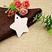 G2PLUS Christmas Star Gift Tags - 100Pcs Blank White Paper Tags with String, 2.4in Star Shaped Tag for Gift Wrapping, DIY Arts & Crafts, Wedding, Christmas Holiday Party Favors