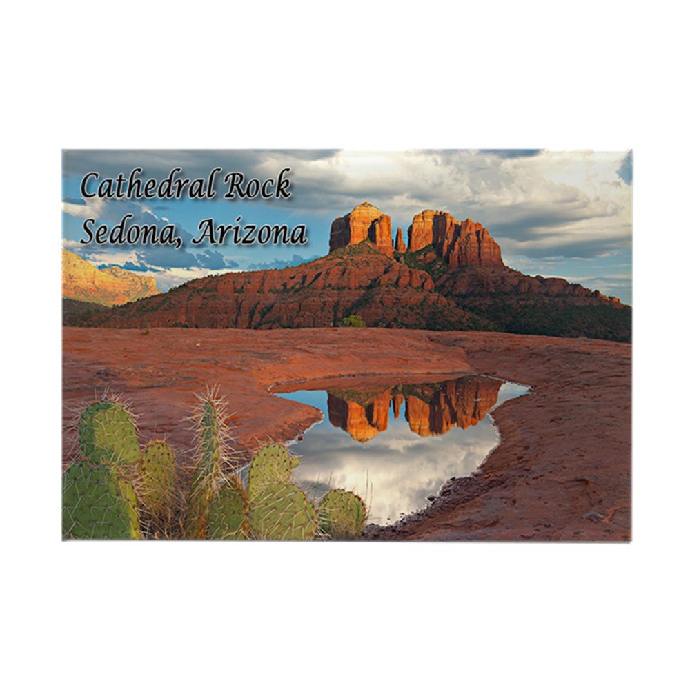 Which Is The Best Sunset Cactus Magnets For Refrigerator