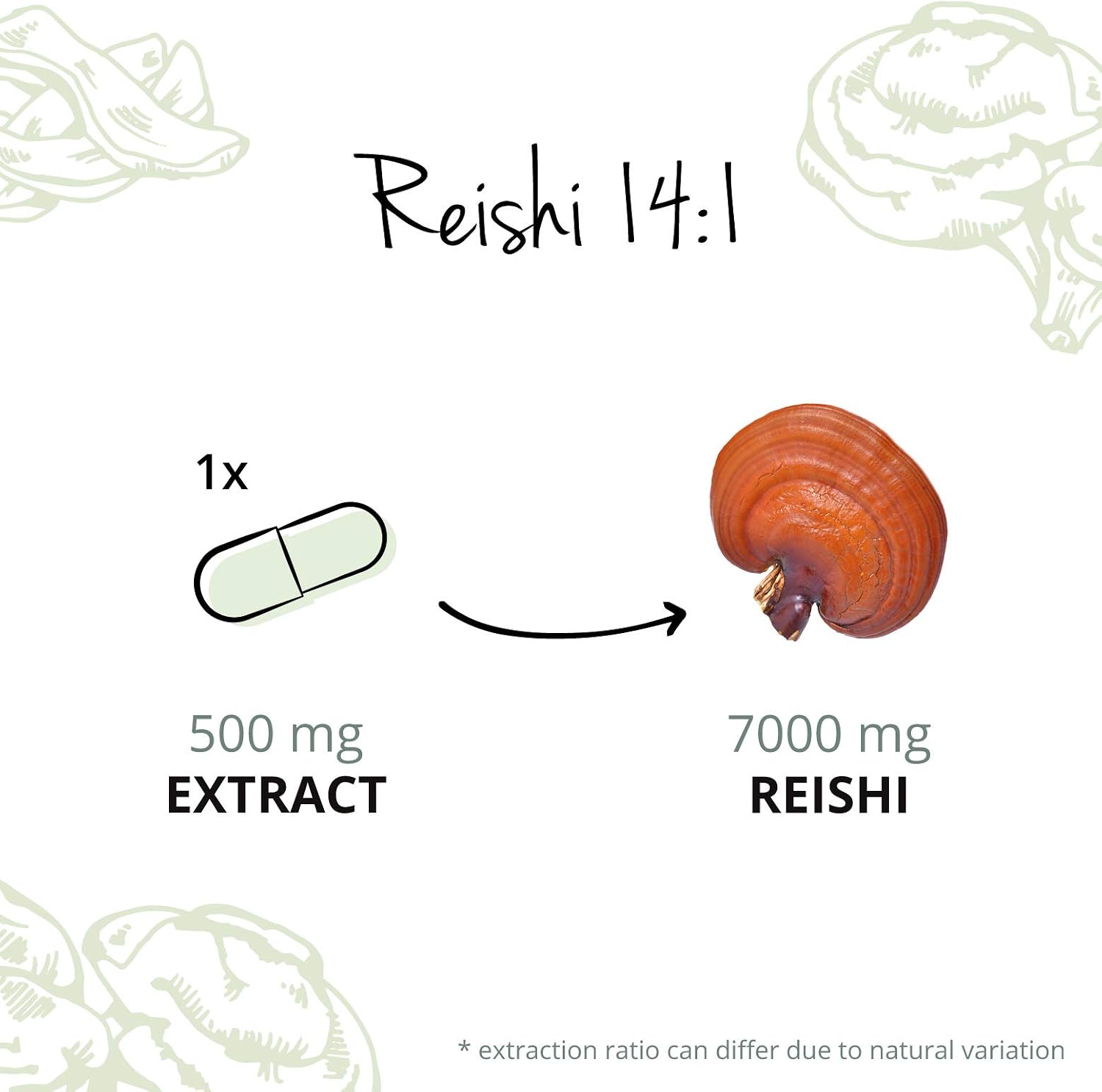 Vegavero Organic Reishi Extract, 90 count (Pack of 1) - Image 5