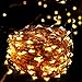 RaThun 66ft 200 LEDs String Lights Flexible Copper Wire Lights Waterproof Design Decor Rope Lights for Festival, Christmas, Wedding, Holiday and Party with Wireless Remote Control, Warm White