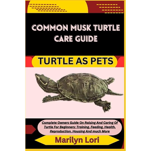 Indian Tent Turtle Care