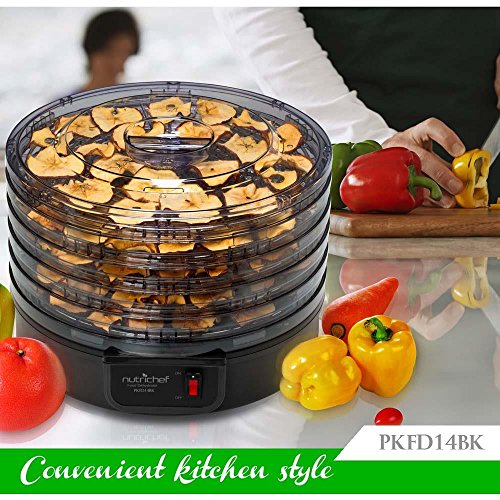 2 Electric+Countertop+Food+Dehydrator+Machine