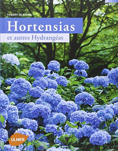 Hortensias et autres hydrangéas