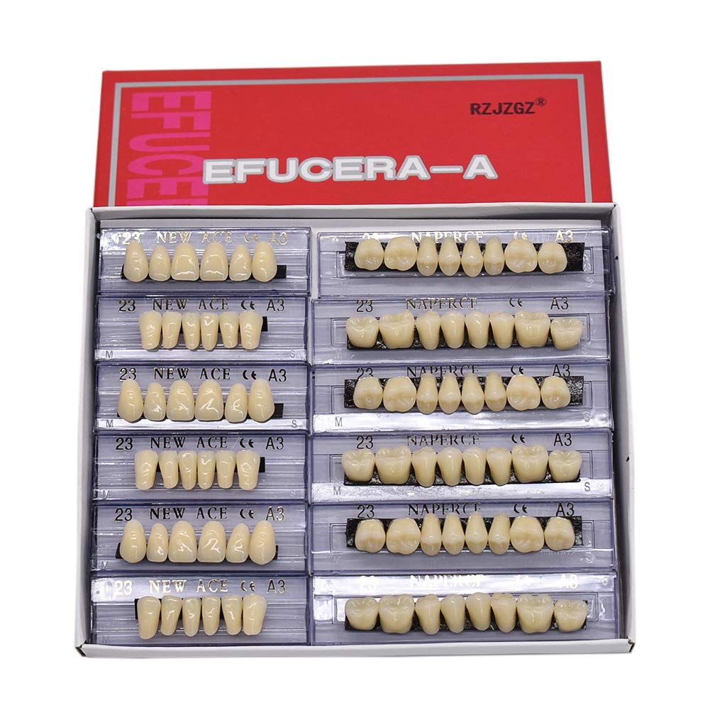 RZJZGZ 168 Pcs Dental Synthetic Resin Tooth Denture 6 Sets False Teeth for Halloween Horror Teeth 23 A3 : Beauty