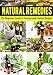 NATURAL REMEDIES: The Beginner Guide to Homemade Herbal Recipes (Heal Yourself with the Power of Nature Book 1)