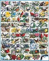 White Mountain Puzzles State Birds and Flowers - 1000 Piece Jigsaw Puzzle
