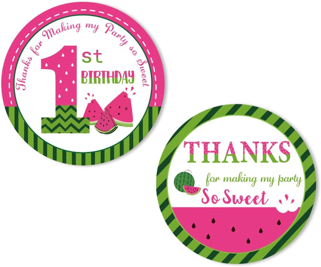 Watermelon Thank You Sticker Labels Watermelon Stickers for Party Favors Envelope 1st Birthday Party Supplies 48 Pack